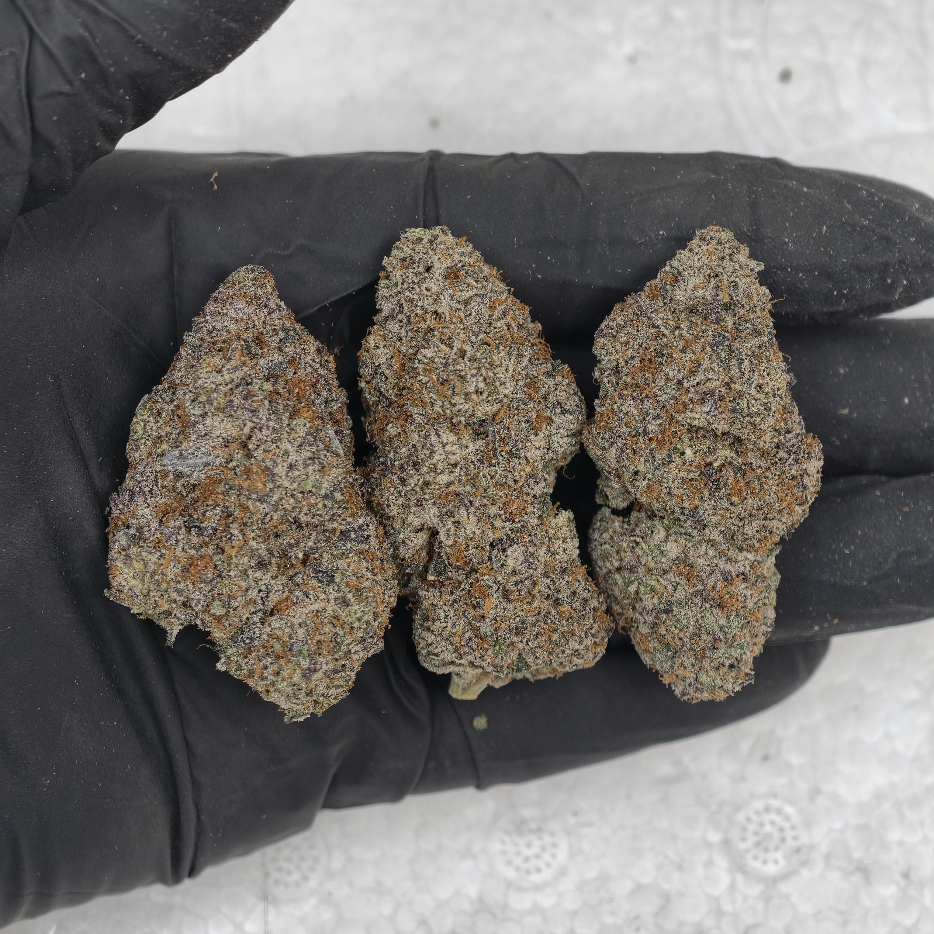 Blue Dream