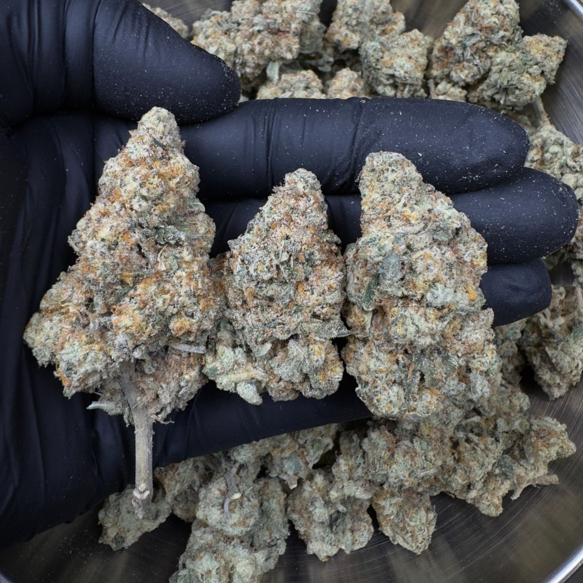 Platinum Punch